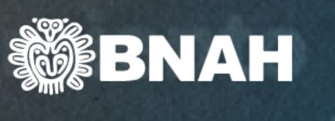 BNAH
